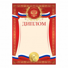 Диплом Д-11