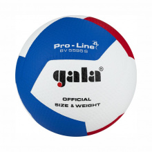 Мяч волейбольный GALA Pro-Line 12, р. 5